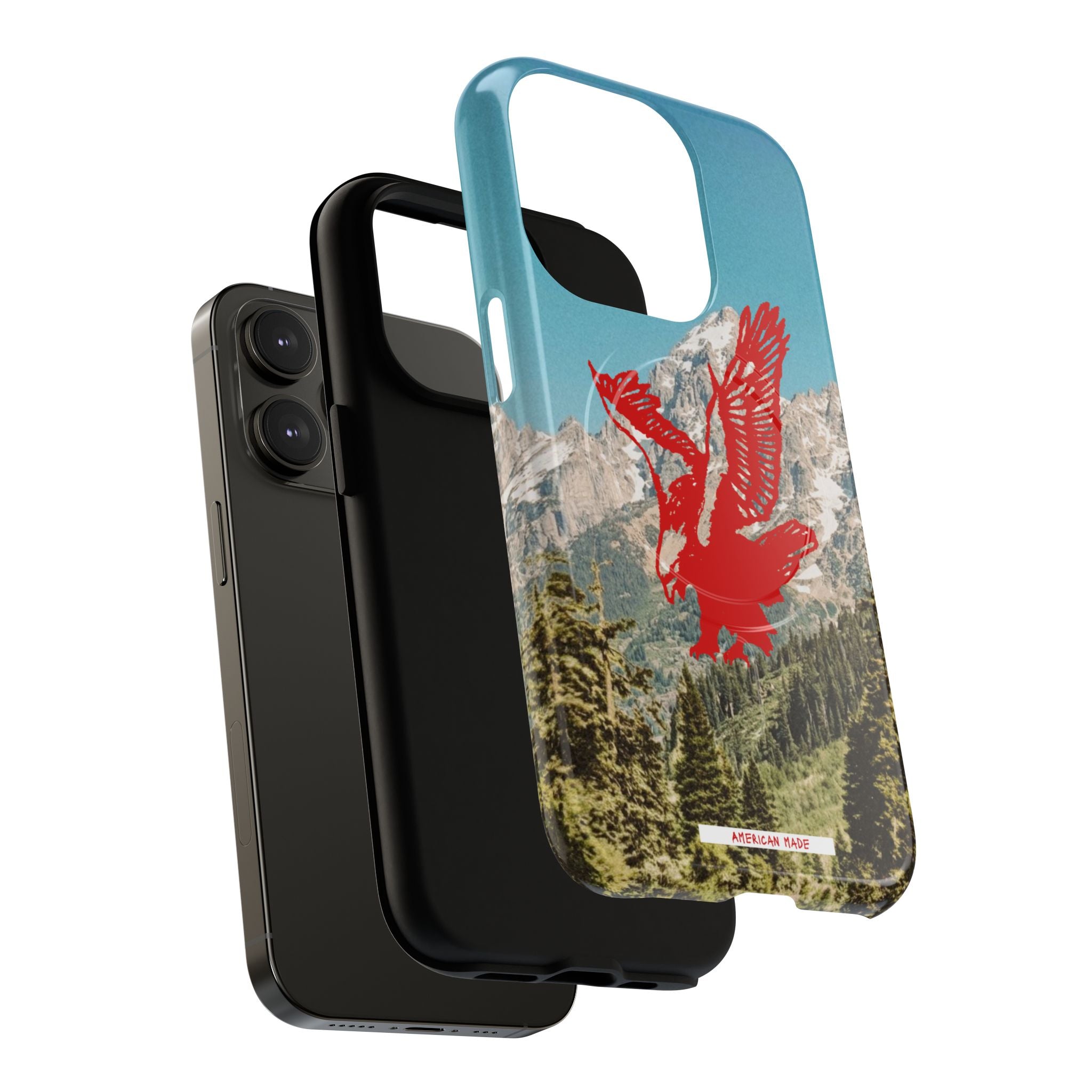 THE HARLEY CASE