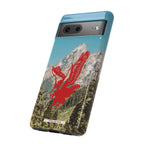 THE HARLEY CASE
