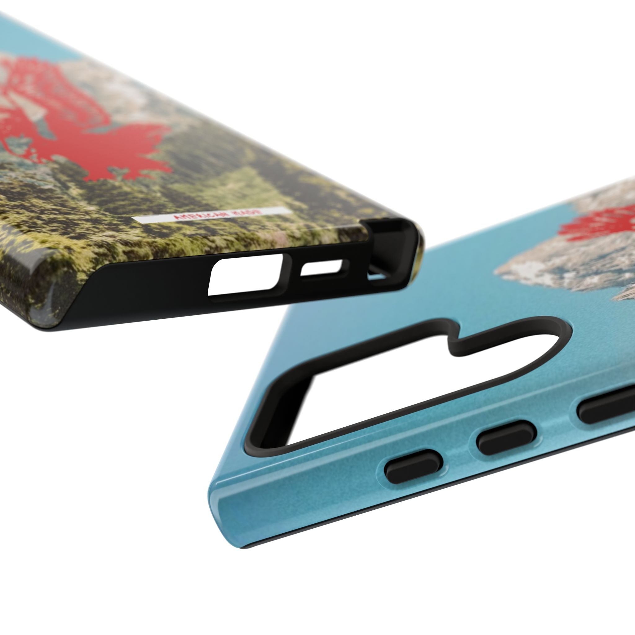 THE HARLEY CASE
