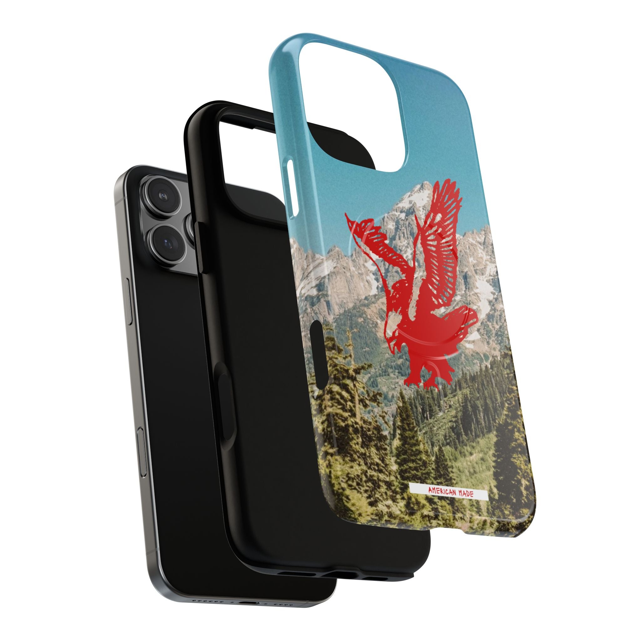 THE HARLEY CASE