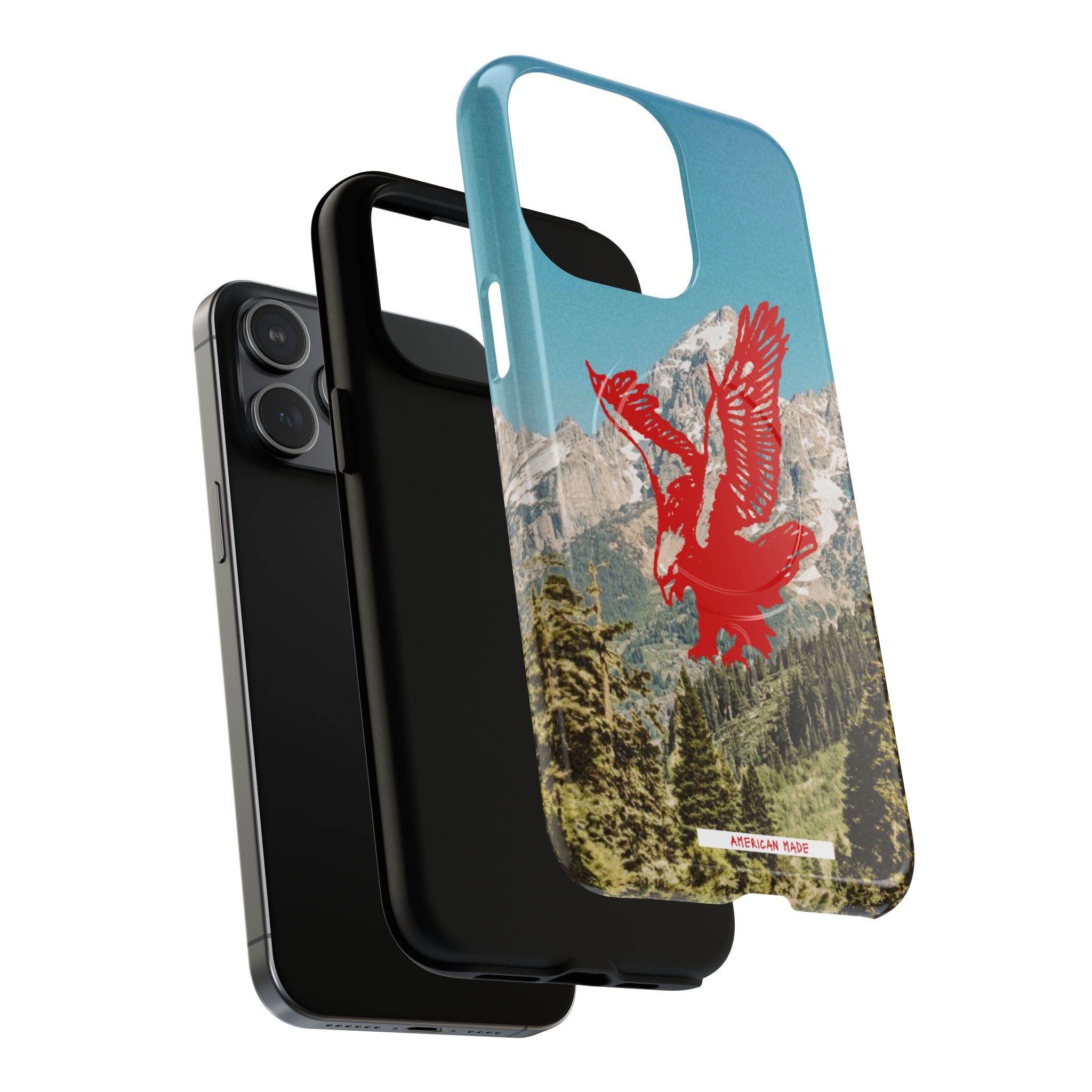 THE HARLEY CASE