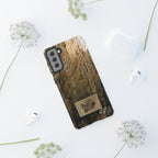 THE CAMO KATE CASE
