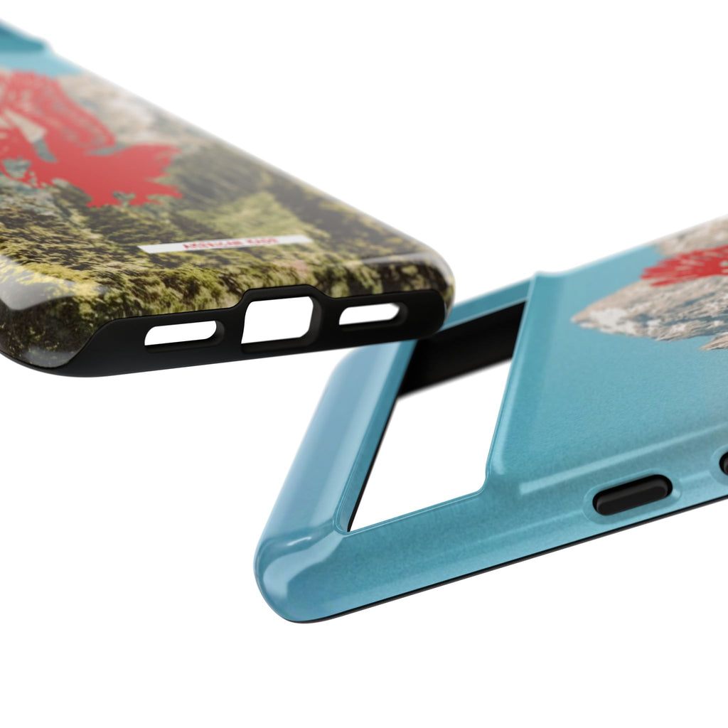 THE HARLEY CASE