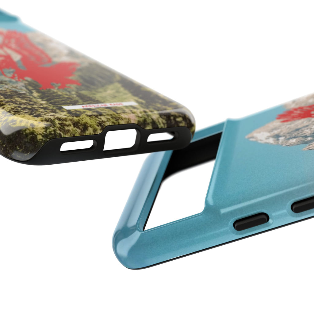 THE HARLEY CASE