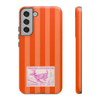 THE ELLA CASE